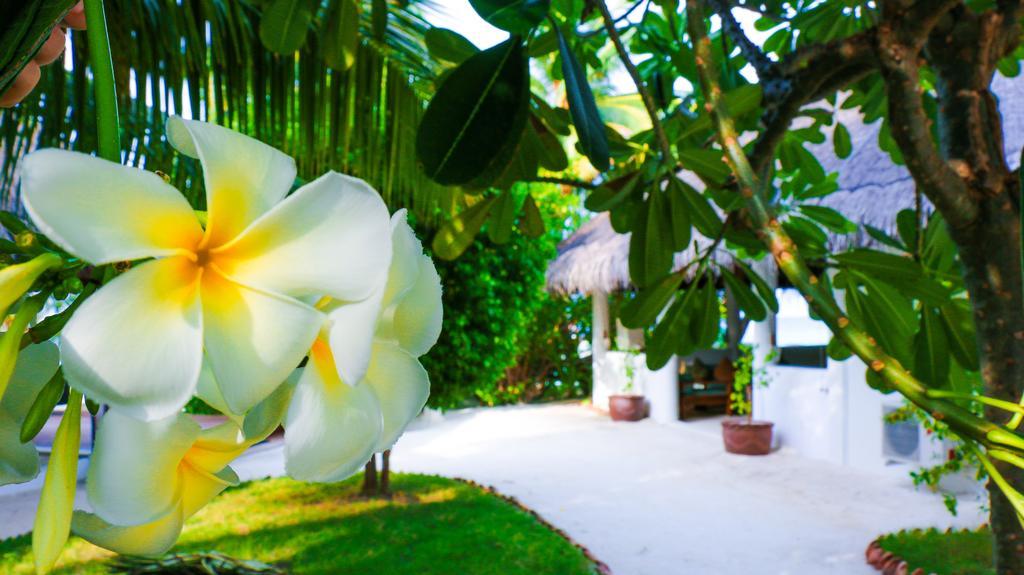 Vakarufalhi Maldives Dhangethi Екстер'єр фото