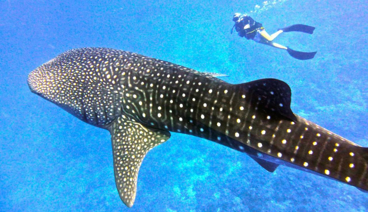 Vakarufalhi Maldives Dhangethi Екстер'єр фото