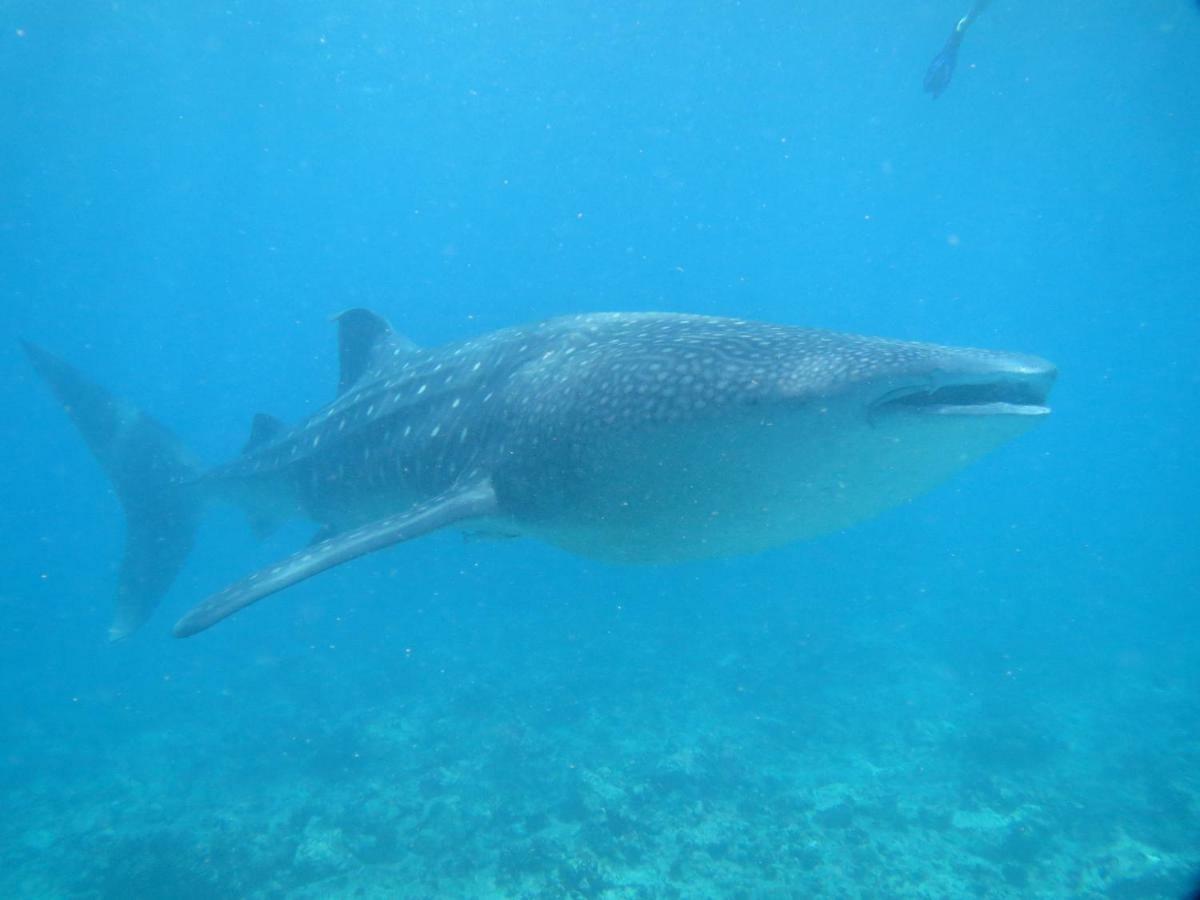 Vakarufalhi Maldives Dhangethi Екстер'єр фото