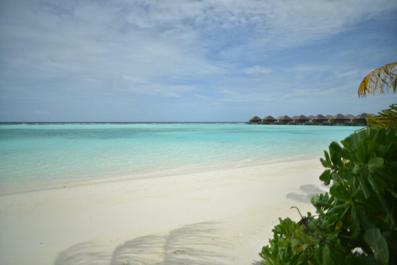 Готель Vakarufalhi Maldives Аліфу Даалу Атолл Екстер'єр фото